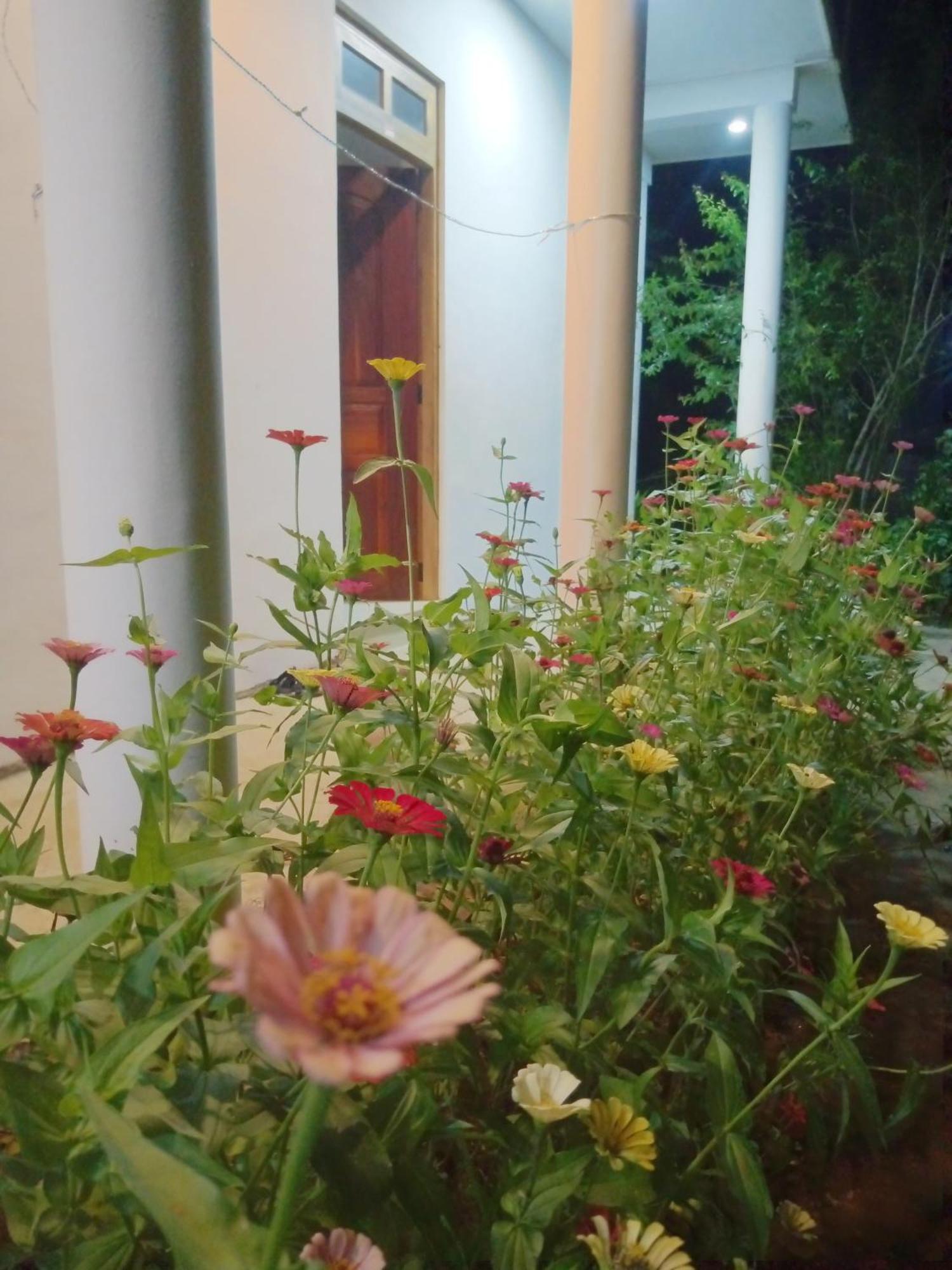 Alexandra Home For Foreign Tourists Only 加姆波勒 外观 照片