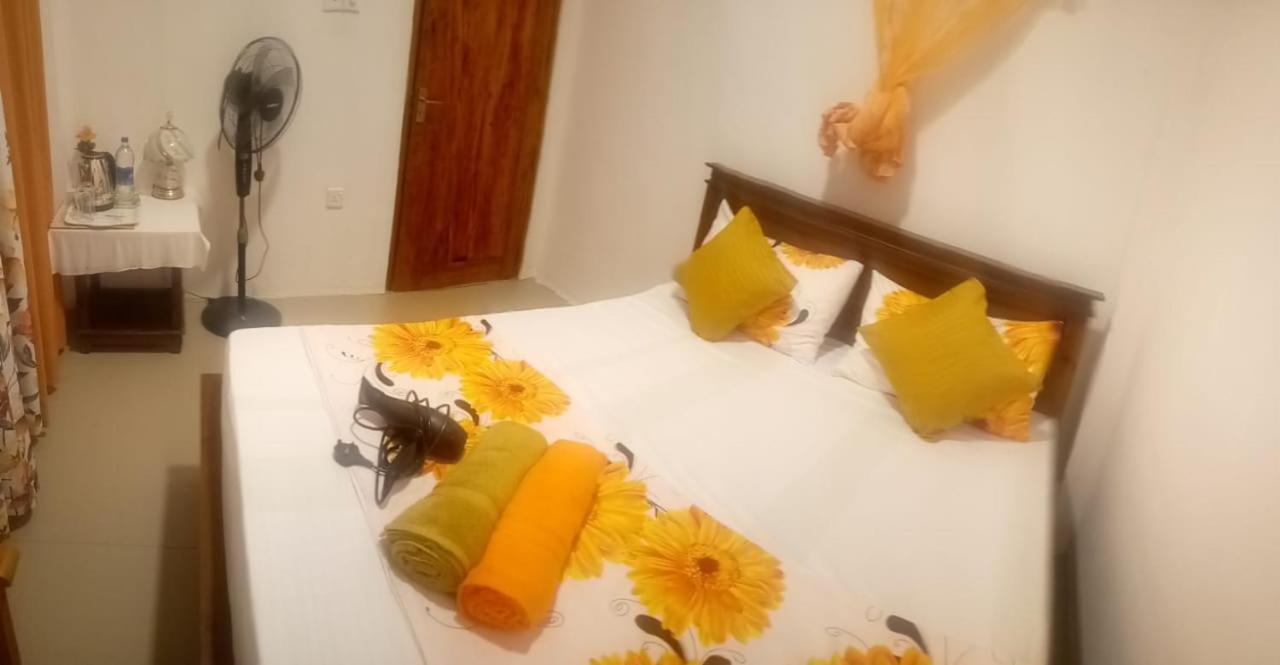 Alexandra Home For Foreign Tourists Only 加姆波勒 外观 照片